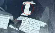 Parking Enforcer's Poetic Justice: Melbourne Officer Slapped With Ticket on Own Vehicle