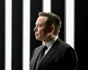 Partisan X Posts Drive Political Polarisation, New Study Reveals