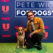 Pete Wicks' Dog Show Sparks 20% Adoption Surge as Christmas Special Airs