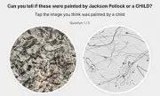 Pollock's Art: Study Shows Kids Can Create Similar Masterpieces