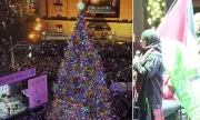 Portland's 'Tree' Lighting Sparks Fury Over Woke Christmas Controversy