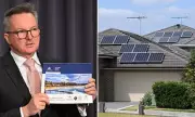 Powering Up Savings: Millions of Australians Offered Daily Free Electricity Windows - Here's How to Claim
