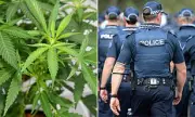 Queensland Police Handed £5,400 Fine After Blocking Medical Cannabis Patient From Treatment