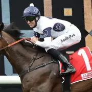 Racing Rocked: Owner Banned After Derby Hopeful Overpass Disqualified in Doping Scandal