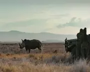 Rhino Review: Tom Hardy Narrates Kenya's Conservation Success Story
