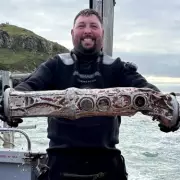 Russian Spy Device Found Off Welsh Coast by Volunteer Divers