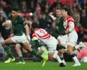Sacha Feinberg-Mngomezulu Stars in South Africa's Nine-Try Demolition of Japan