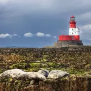 Seahouses: Northumberland's Seaside Gem for Food and Nature Lovers