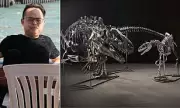 Singapore Authorities Seize £2.3 Million in Dinosaur Fossils in Stunning Raid on Businessman's Warehouse