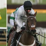 Skelton: Constitution Hill 'Extremely Difficult' for The New Lion to Beat