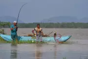 Sri Lankan Fishers Combat Invasive Snakehead Fish Threat