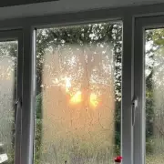 Stop Window Condensation Overnight With 65p Salt Bowl Hack