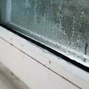 Stop Window Condensation with Cat Litter: The Unusual UK Hack