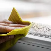 Stop Winter Window Condensation with This Simple Shaving Foam Hack
