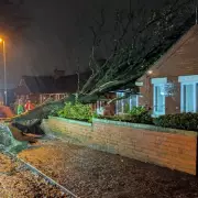 Storm Claudia Chaos: Tree Smashes Bungalow, Flood Warnings Issued