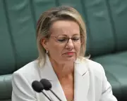 Sussan Ley's Net Zero Gamble Risks Liberal Party Resignations