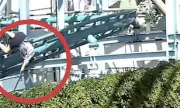 Sweden Rollercoaster Tragedy: Woman Plunged 20ft in Fatal Accident