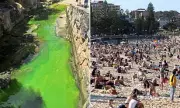 Sydney's North Coogee Beach stained green as council dismisses pollution fears