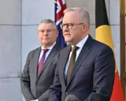 Sydney's Rental Crisis Deepens as Vacancies Hit Record Low