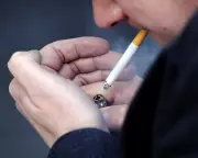 Sydney's Tobacco Purge Begins: First Shops Forced to Close Under Tough New Laws