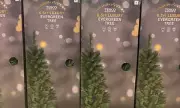 Tesco's 'Evergreen Trees' Spark Woke Backlash from Brits