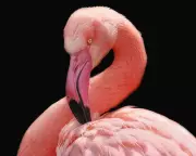 Test Your Wits! The Ultimate Guardian Thursday Quiz Awaits Your General Knowledge