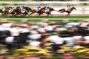 The Unstoppable Force: How Australia's Melbourne Cup Betting Culture Defies Economic Headwinds