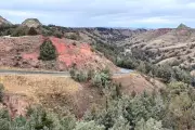 Theodore Roosevelt National Park's Scenic Loop Reopens After Six-Year Closure