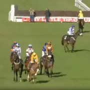 Three Jockeys Banned After Plumpton Race Chaos Over Flag Confusion