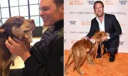 Tom Brady's Canine Clone: Barstool Sports Founder Dave Portnoy Reveals NFL Legend Cloned His Beloved Dog