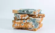 Toxicologist's Warning: These 7 Mouldy Foods Could Lead to Organ Damage and Cancer