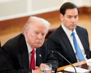 Trump Initiates Terrorist Designation for Muslim Brotherhood Chapters