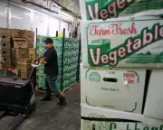 Trump Reverses Tariff Policy, Cuts Food Import Taxes Amid Inflation