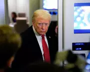 Trump's Approval Rating Plummets to Historic Low in Latest Polling Data