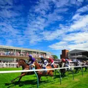 Tuesday's Racing Tips: NAP of the Day Set to Gallop to Glory at Brighton