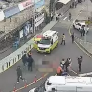 Two dead and eight injured after van crashes into tourists on Jeju Island