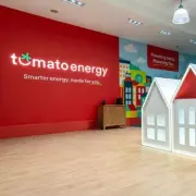 UK Energy Bills Set to Plummet as Octopus Energy Announces Major Price Cut