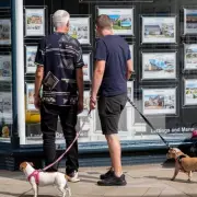 UK Rent Prices Soar by £65 Per Month - Check Your Area