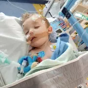 UK Toddler's World-First Genetic Condition Sparks £14k Cure Quest