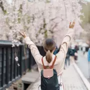 UK Warns Travellers of Bear Attacks in Japan as Troops Deployed