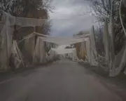 Ukraine Defies Odds: Fierce Resistance Continues in Embattled Pokrovsk Amid Russian Onslaught