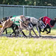 UK's Bold New Border Strategy: Electronic Travel Authorisation Scheme Set to Launch