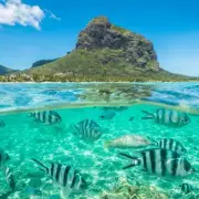Unlock Paradise: How Visiting Just 12 Countries Grants You Mauritius Access