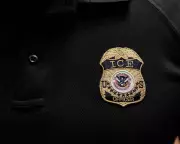 US Army Veteran and Purple Heart Recipient Deported to Mexico by ICE