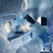 US Man Severely Ill with H5N5 Bird Flu Strain Never Seen in Humans