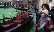 Venice's Grand Canal Dyed Green in Climate Protest Over COP30 Failure