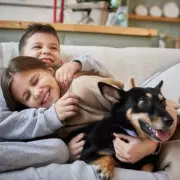 Vet Reveals 3 Critical Dog Warning Signs Every Owner Must Know - Don't Ignore These Symptoms