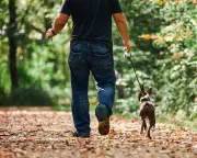 Walking 3,000 Steps Daily Could Slow Alzheimer's Progression, New Research Reveals