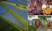 Watership Down's Idyllic Landscape Under Siege: Massive 72-Acre Solar Farm Approved Despite Local Fury