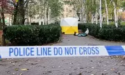 Westminster Knife Horror: 20-Year-Old Man Arrested After Woman Stabbed in Central London Street Attack